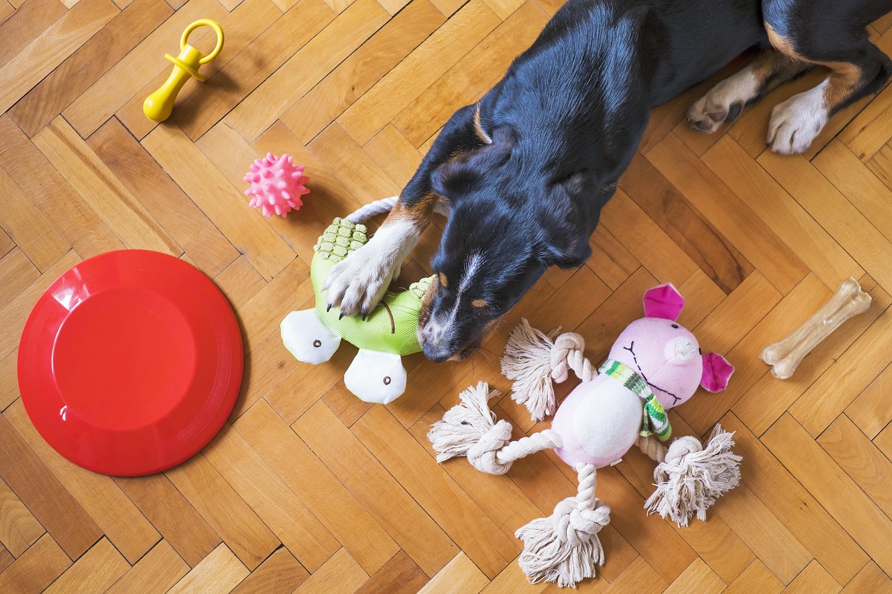 Toys and Play