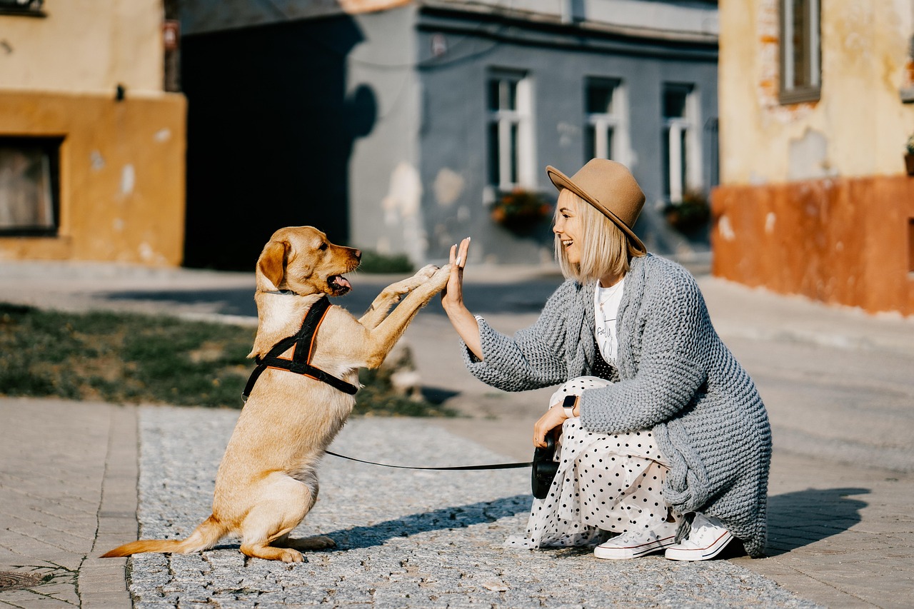 Unleashing Adventure: The Joy of Exploring the Outdoors with Your Pet